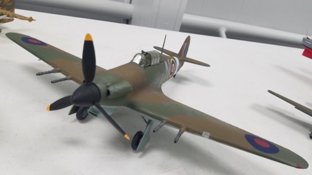 _195337.jpg