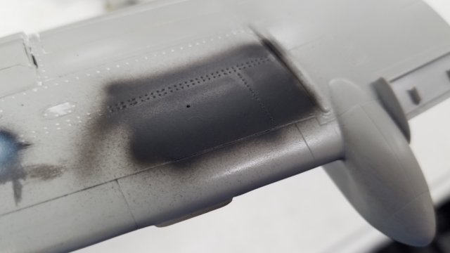 _200450.jpg
