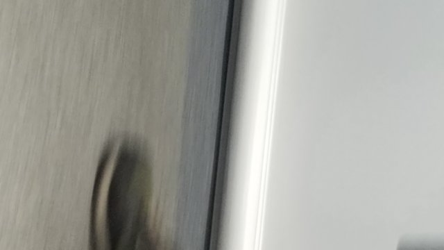 _202701.jpg