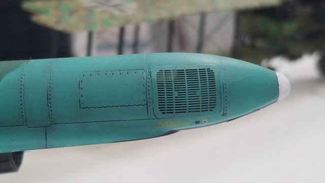_203908.jpg