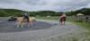 _104227_small.jpg