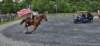 _104258_small.jpg