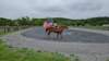 _104351_small.jpg
