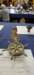 _120934_small.jpg