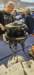 _151720_small.jpg