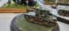 _105900_small.jpg