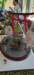 _105918_small.jpg