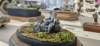 _110214_small.jpg