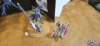 _105533_small.jpg