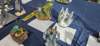 _110937_small.jpg